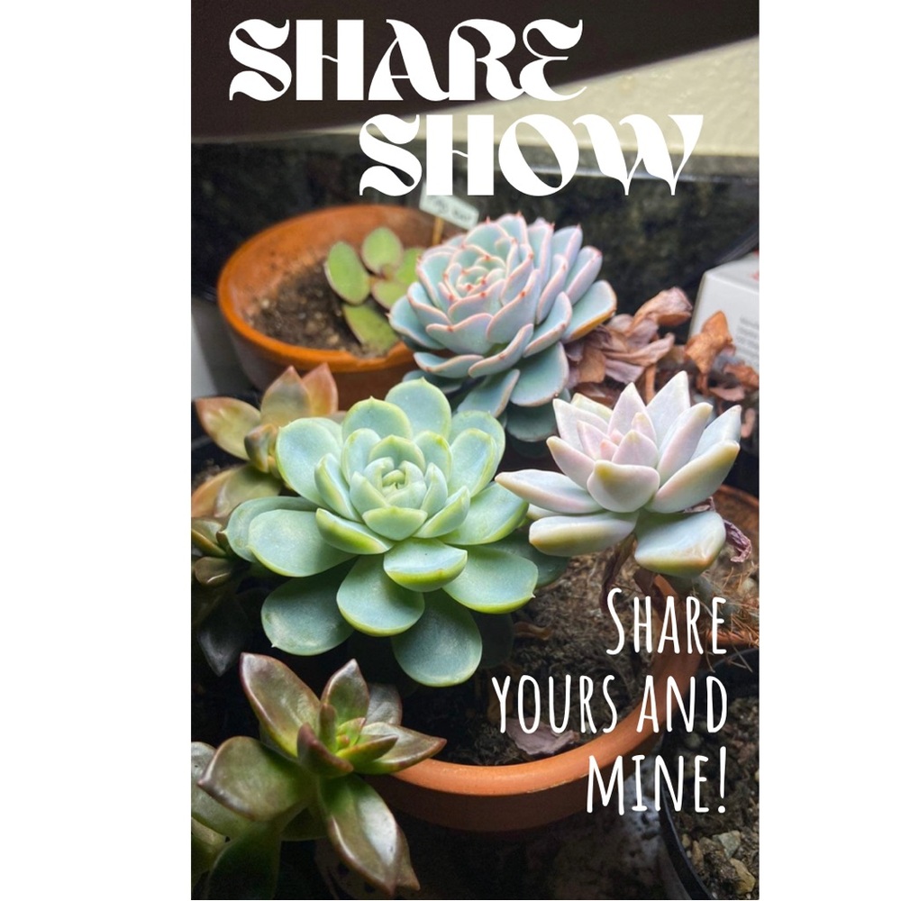 ❤️Like to know when I’m live! Share Show! ❤️